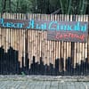 Pasar Awi Campernik: Ekologi, Tradisi, dan Harapan di Jantung Cimahi