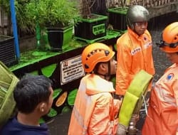 Hujan Deras di Malang: Puluhan Titik Banjir dan Dua Longsor