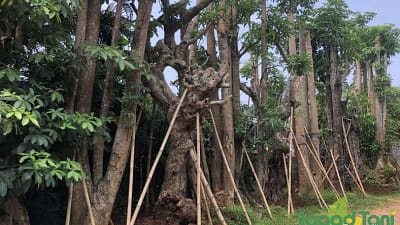 AI mampu membaca pola perilaku manusia, memprediksi pilihan, bahkan memengaruhi keyakinan.