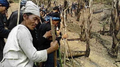 Bagi masyarakat Baduy, berladang tidak hanya dipandang sebagai aktivitas ekonomis.
(Sumber gambar: news.trubus.id)