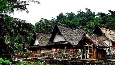 Kampung Adat Urug—sebuah permukiman yang tenang, jauh dari keramaian, namun menyimpan denyut nadi budaya Sunda yang masih hidup dan bersahaja.